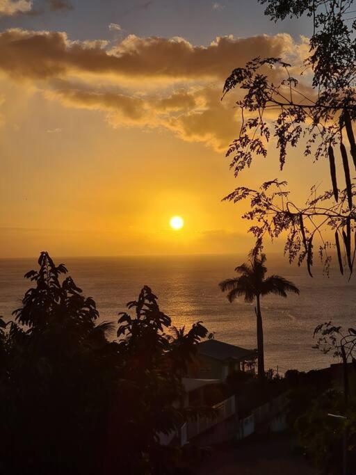 Ti Sucrier Jaune - Douceur Caraibe Vue Mer Λε Καρμπέ Εξωτερικό φωτογραφία