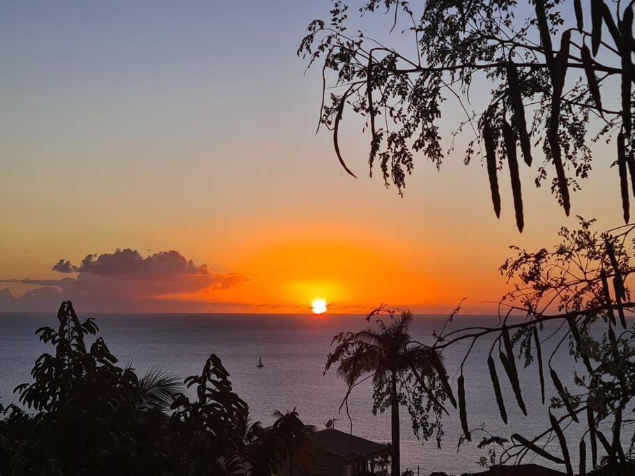 Ti Sucrier Jaune - Douceur Caraibe Vue Mer Λε Καρμπέ Εξωτερικό φωτογραφία
